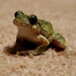 Meet your Posher, Vanessa